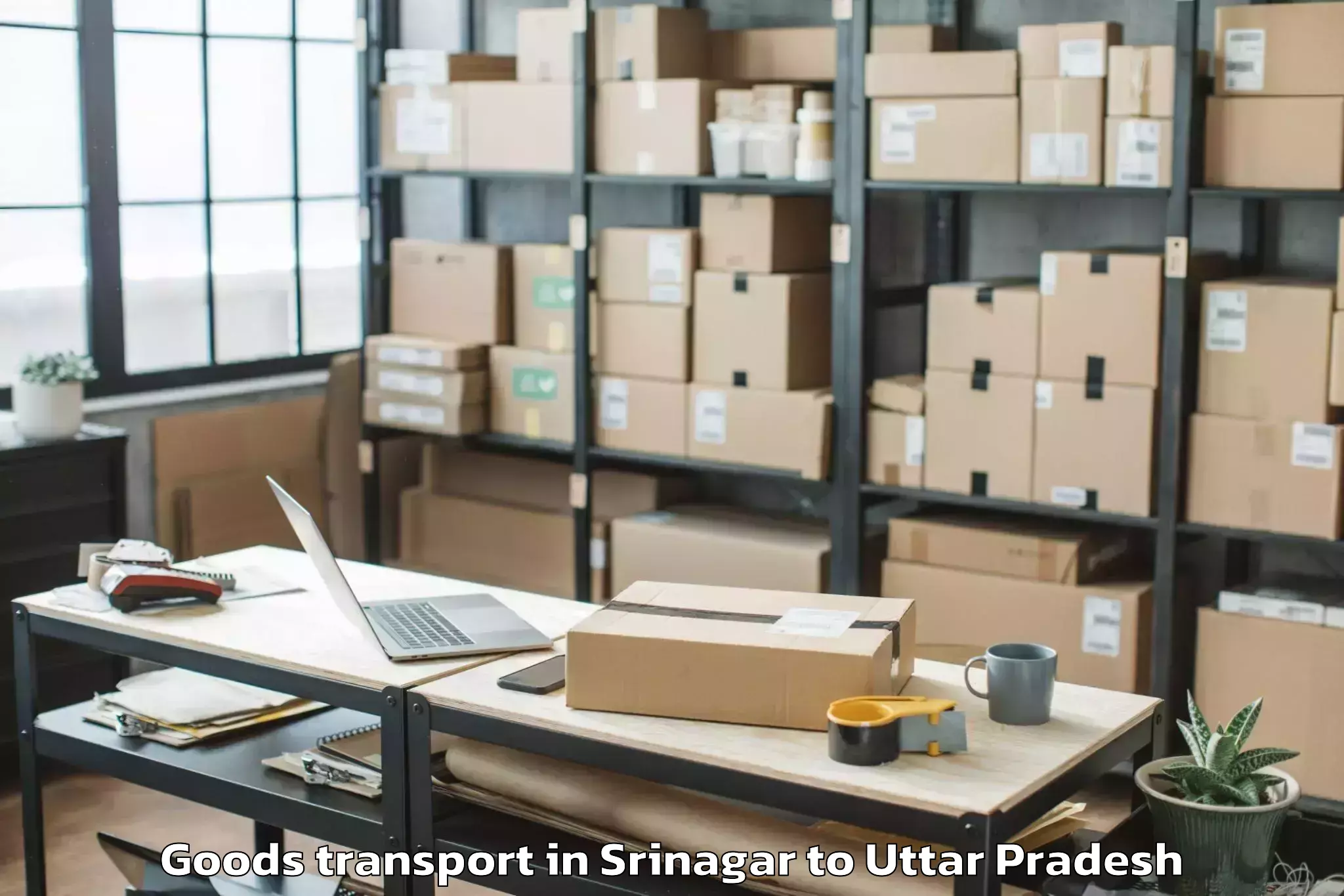 Easy Srinagar to Jaypee University Anoopshahr A Goods Transport Booking